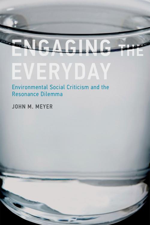 Cover of the book Engaging the Everyday by John M. Meyer, The MIT Press