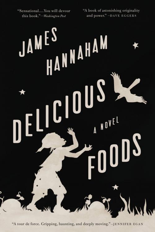 Cover of the book Delicious Foods by James Hannaham, Little, Brown and Company