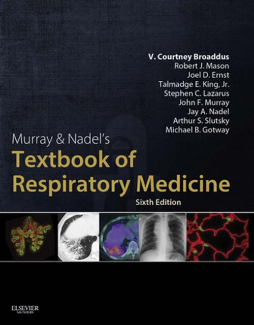 Cover of the book Murray & Nadel's Textbook of Respiratory Medicine E-Book by Robert C Mason, John F. Murray, MD, DSc(Hon), FRCP, Jay A. Nadel, MD, DSc(Hon), DLaw(Hon), Michael Gotway, MD, Elsevier Health Sciences