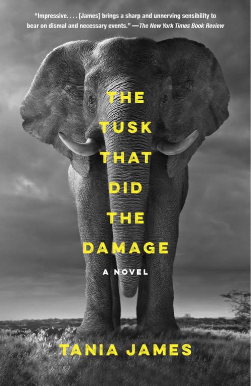 Cover of the book The Tusk That Did the Damage by Tania James, Knopf Doubleday Publishing Group