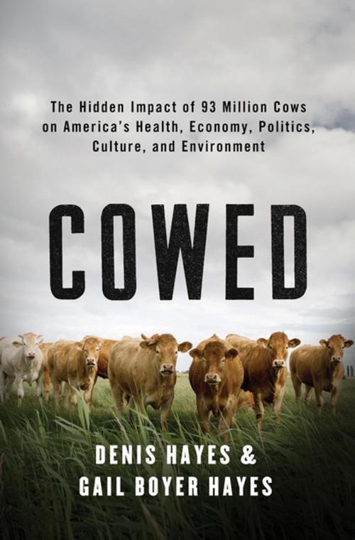 Cover of the book Cowed: The Hidden Impact of 93 Million Cows on America’s Health, Economy, Politics, Culture, and Environment by Denis Hayes, Gail Boyer Hayes, W. W. Norton & Company