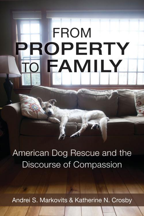 Cover of the book From Property to Family by Andrei S. Markovits, Katherine Crosby, University of Michigan Press