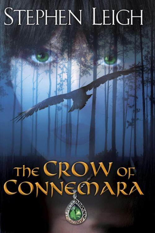 Cover of the book The Crow of Connemara by Stephen Leigh, DAW