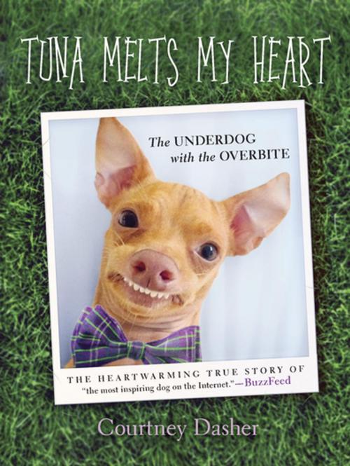 Cover of the book Tuna Melts My Heart by Courtney Dasher, Penguin Publishing Group