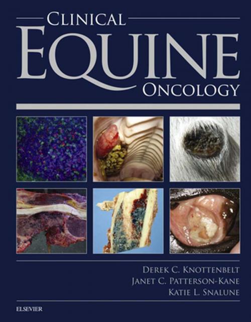 Cover of the book Clinical Equine Oncology E-Book by Derek C. Knottenbelt, OBE  BVM&S  DVM&S  Dip ECEIM  MRCVS, Katie Snalune, BSc MA VetMB Cert EM (Int.Med.) Cert ES (Soft Tissue) MRCVS, Janet Patterson Kane, BVSc  PhD  Dip ACVP  MRCVS, Elsevier Health Sciences