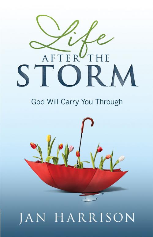 Cover of the book Life After the Storm by Jan Harrison, Harvest House Publishers