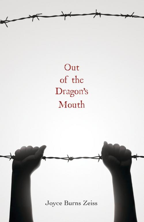 Cover of the book Out of the Dragon's Mouth by Joyce Burns Zeiss, North Star Editions