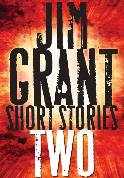 Cover of the book Jim Grant Short Stories #2 by Colin Campbell, Llewellyn Worldwide, LTD.