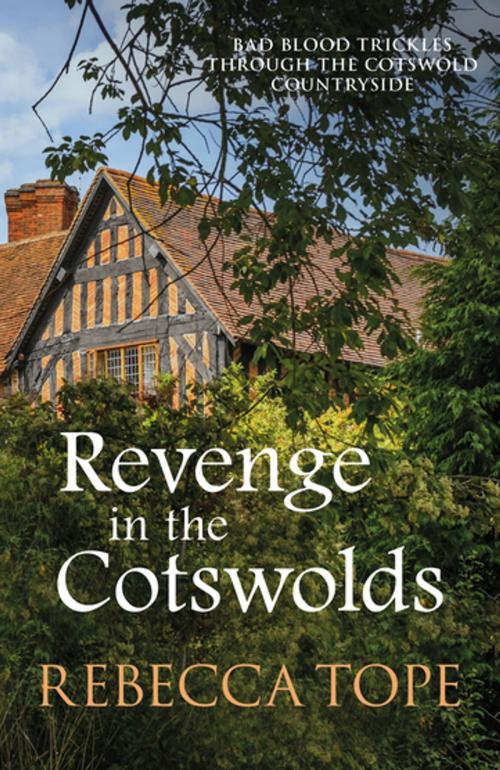 Cover of the book Revenge in the Cotswolds by Rebecca Tope, Allison & Busby