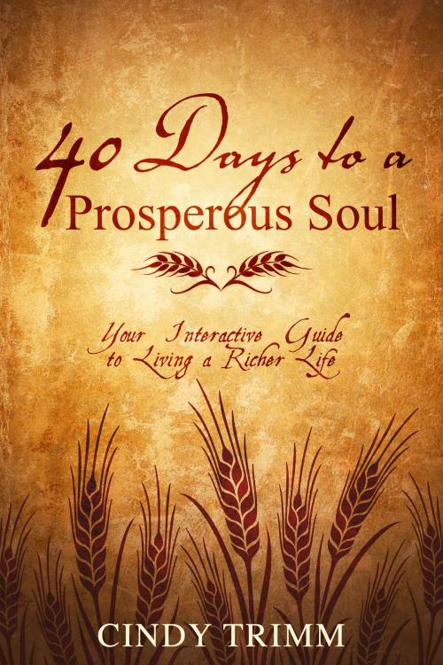 Cover of the book 40 Days to a Prosperous Soul by Cindy Trimm, Destiny Image, Inc.
