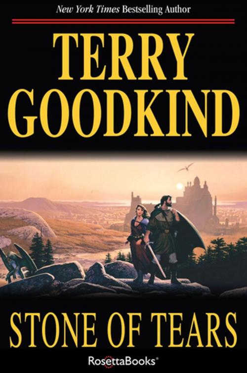 Cover of the book Stone of Tears by Terry Goodkind, RosettaBooks