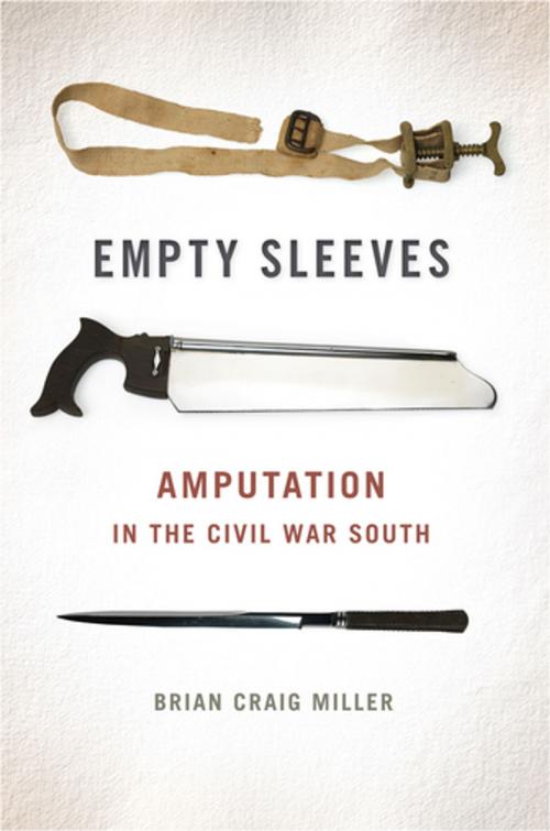 Cover of the book Empty Sleeves by Brian Craig Miller, University of Georgia Press
