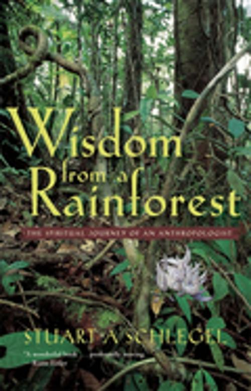 Cover of the book Wisdom from a Rainforest by Stuart A. Schlegel, University of Georgia Press