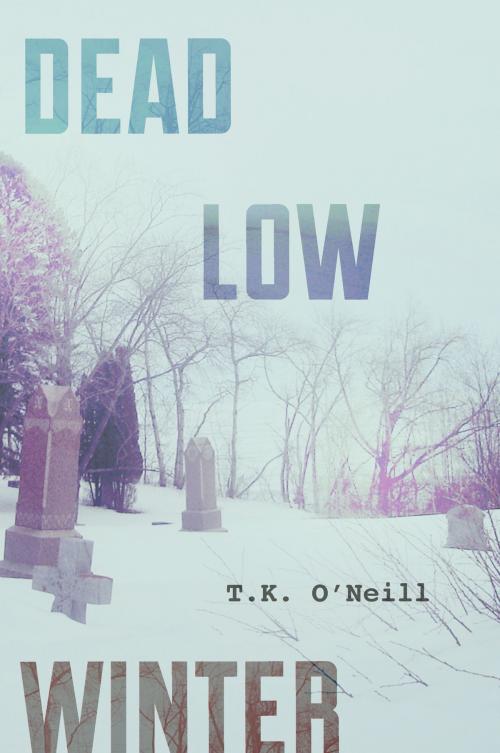 Cover of the book Dead Low Winter by T.K. O'Neill, Bluestone Press