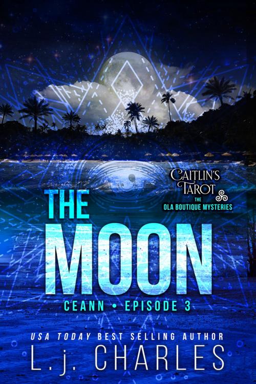 Cover of the book The Moon by L.j. Charles, Amentino Publishing