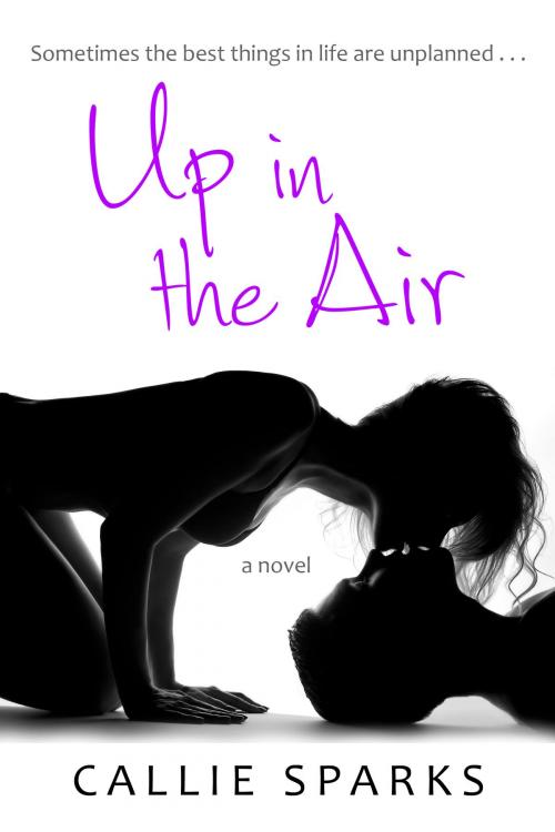 Cover of the book Up in the Air by Callie Sparks, Callie Sparks