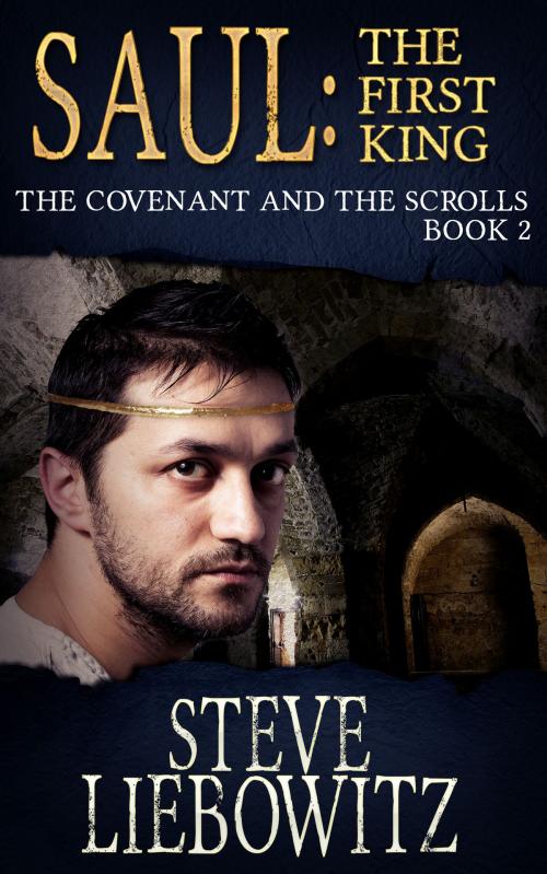Cover of the book Saul First Kind The Covenant and The Scrolls Book II by Steven Liebowitz, Steven Liebowitz