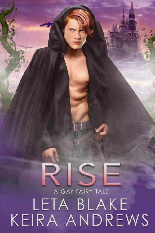 Cover of the book Rise by Keira Andrews, Leta Blake, KA Books