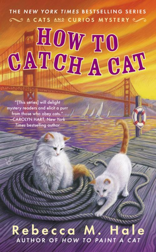 Cover of the book How to Catch a Cat by Rebecca M. Hale, Penguin Publishing Group