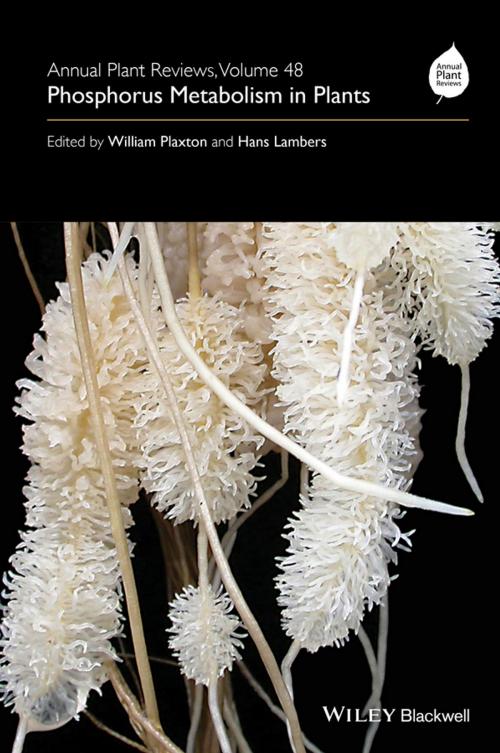 Cover of the book Annual Plant Reviews, Phosphorus Metabolism in Plants by , Wiley