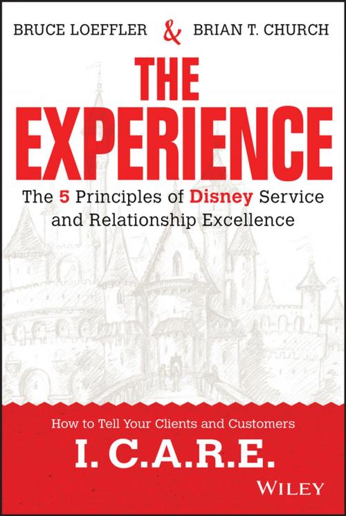 Cover of the book The Experience by Bruce Loeffler, Brian Church, Wiley