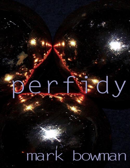 Cover of the book Perfidy by Mark Bowman, Lulu.com