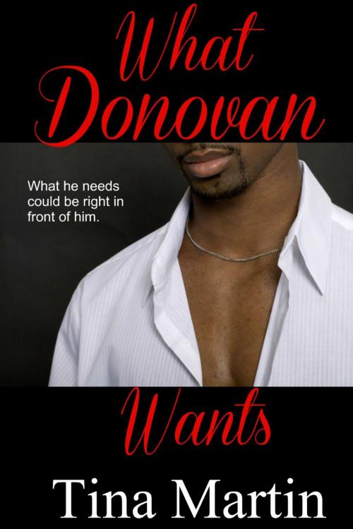 Cover of the book What Donovan Wants (The Accidental Series, Book 4) by Tina Martin, Tina Martin