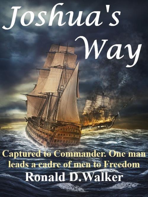 Cover of the book Joshua's Way by Ronald D. Walker, Ronald D. Walker
