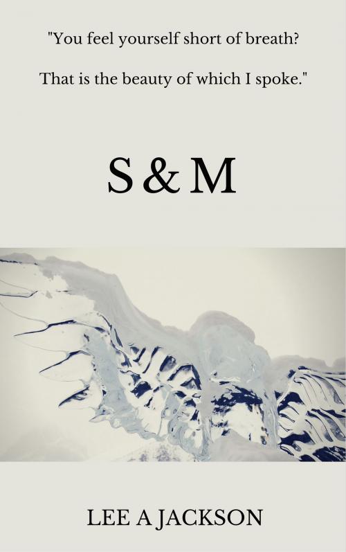 Cover of the book S and M by Lee A Jackson, Lee A Jackson