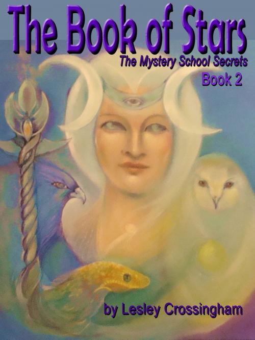 Cover of the book The Book of Stars by Lesley Ann Crossingham, Lesley Ann Crossingham