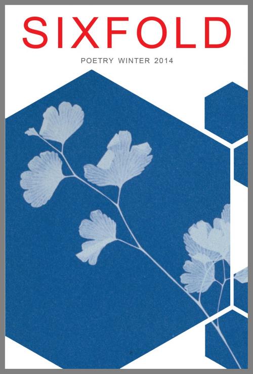 Cover of the book Sixfold Poetry Winter 2014 by Sixfold, Sixfold