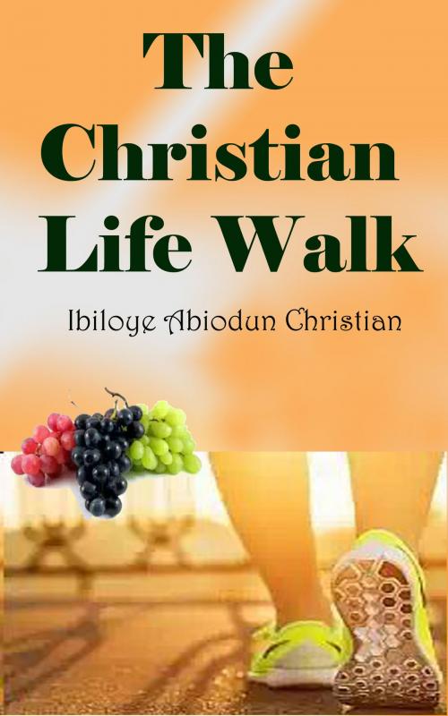 Cover of the book The Christian Life Walk by Ibiloye Abiodun Christian, Ibiloye Abiodun Christian