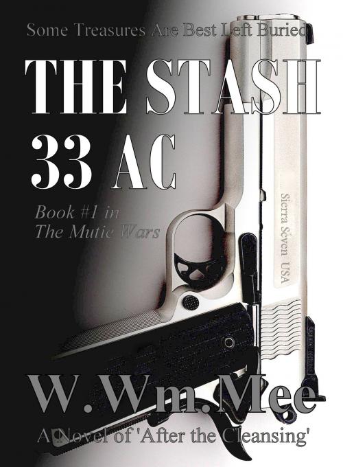 Cover of the book 33 AC The Stash by W.Wm. Mee, W.Wm. Mee