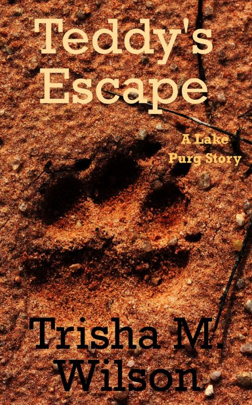 Cover of the book Teddy's Escape by Trisha M. Wilson, Trisha M. Wilson