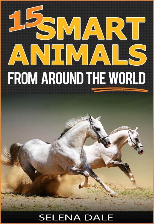 Cover of the book 15 Smart Animals From Around The World by Selena Dale, Selena Dale
