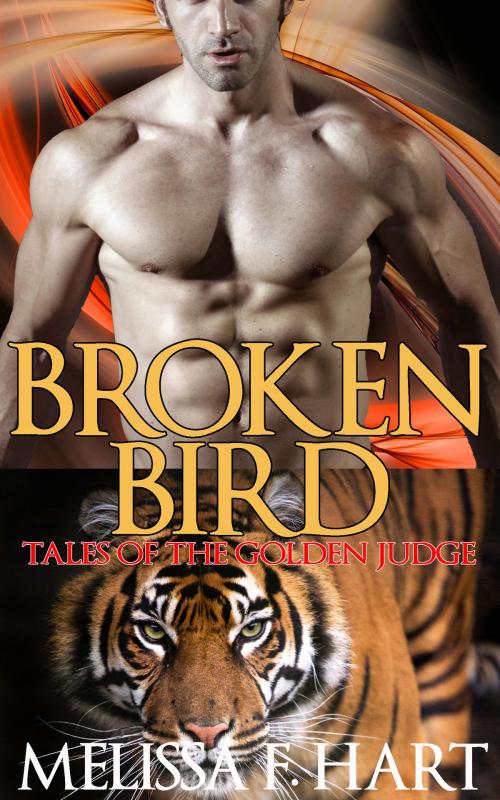 Cover of the book Broken Bird by Melissa F. Hart, MFH Ink Publishing