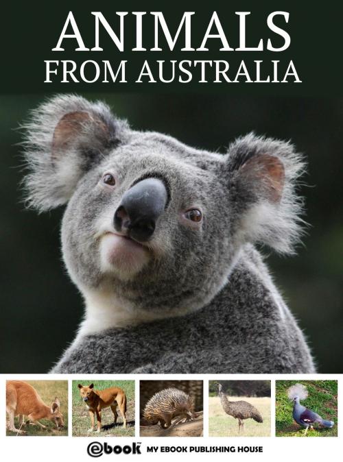 Cover of the book Animals from Australia by My Ebook Publishing House, My Ebook Publishing House