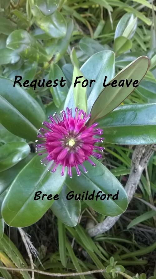 Cover of the book Request For Leave by Bree Guildford, Bree Guildford