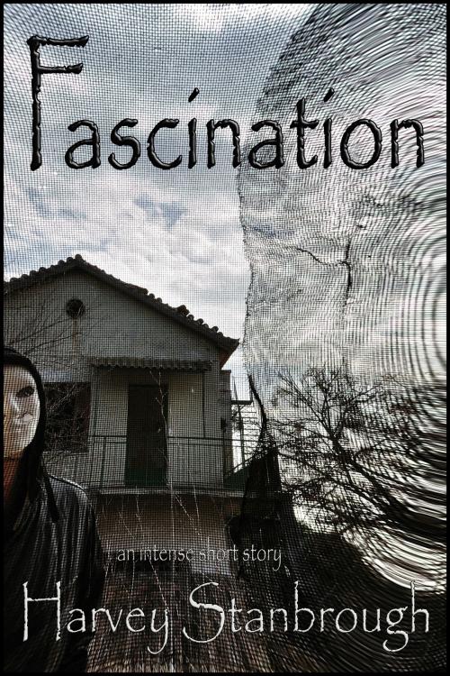 Cover of the book Fascination by Harvey Stanbrough, StoneThread Publishing