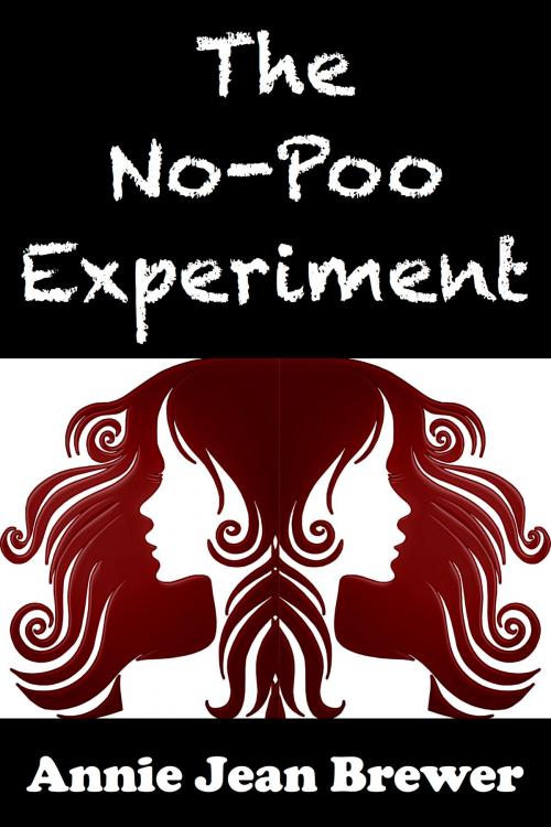 Cover of the book The No Poo Experiment: Can You Really Clean Your Hair Without Shampoo by Annie Jean Brewer, Annie Jean Brewer