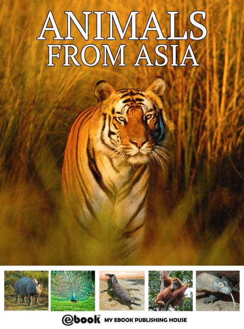 Cover of the book Animals from Asia by My Ebook Publishing House, My Ebook Publishing House