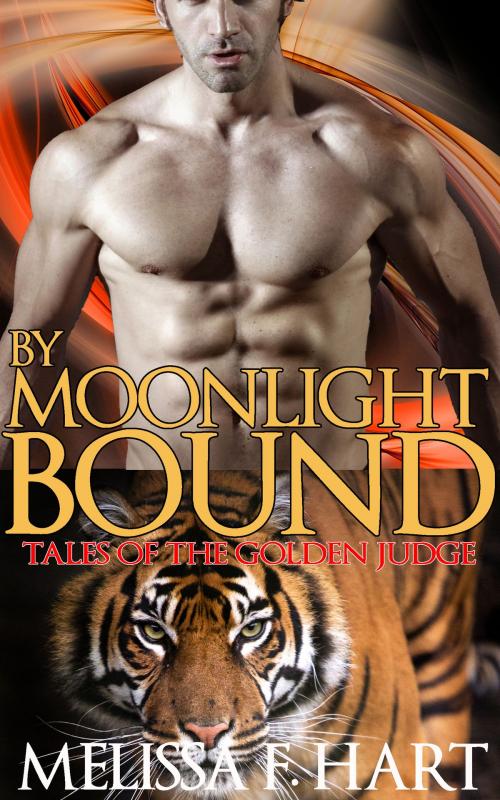 Cover of the book By Moonlight Bound by Melissa F. Hart, MFH Ink Publishing