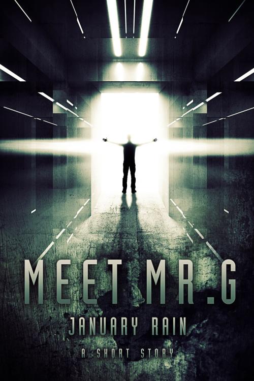 Cover of the book Meet Mr. G by January Rain, January Rain