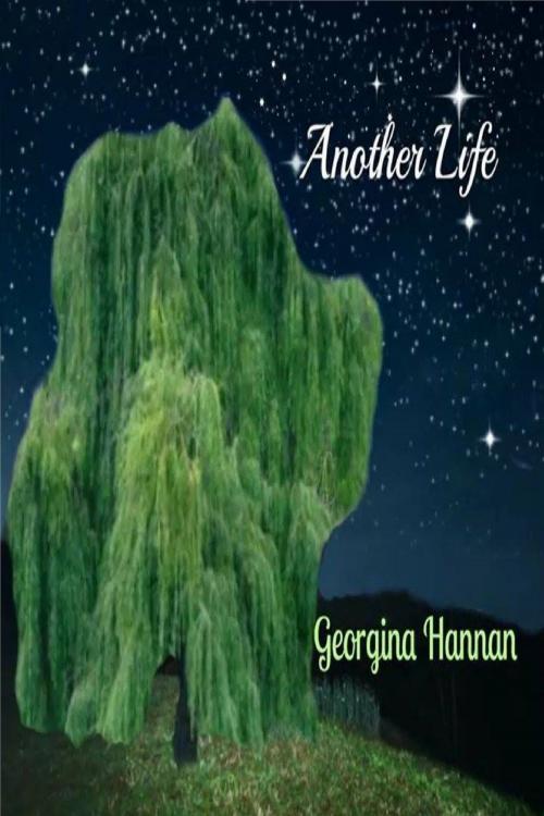 Cover of the book Another Life by Georgina Hannan, Georgina Hannan