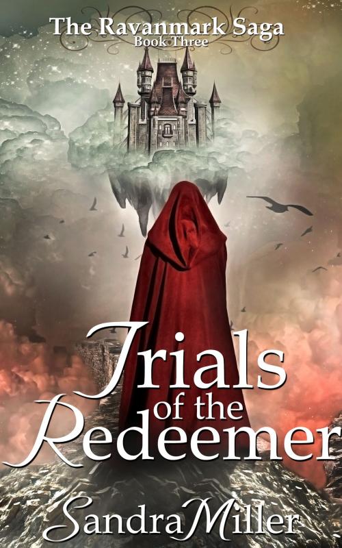 Cover of the book Trials of the Redeemer by Sandra Miller, Onda Mountain Books