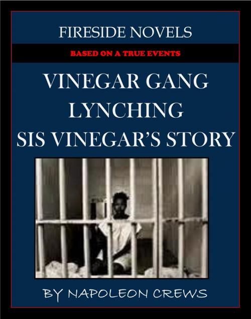 Cover of the book Vinegar Gang Lynching - Sis Vinegar's Story (Based On True Events) by Napoleon Crews, Napoleon Crews