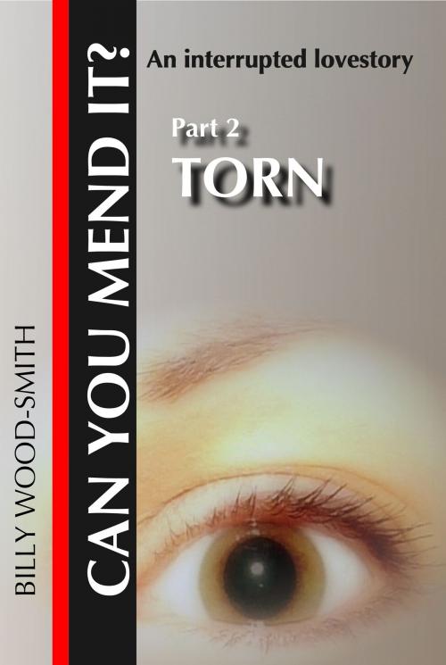 Cover of the book Can You Mend It? Part 2: Torn by Billy Wood-Smith, Billy Wood-Smith
