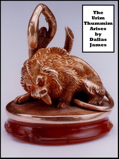 Cover of the book The Urim Thummim Arises by Dallas James, Dallas James