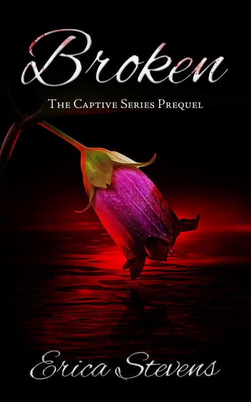 Cover of the book Broken (The Captive Series Prequel) by Erica Stevens, Erica Stevens