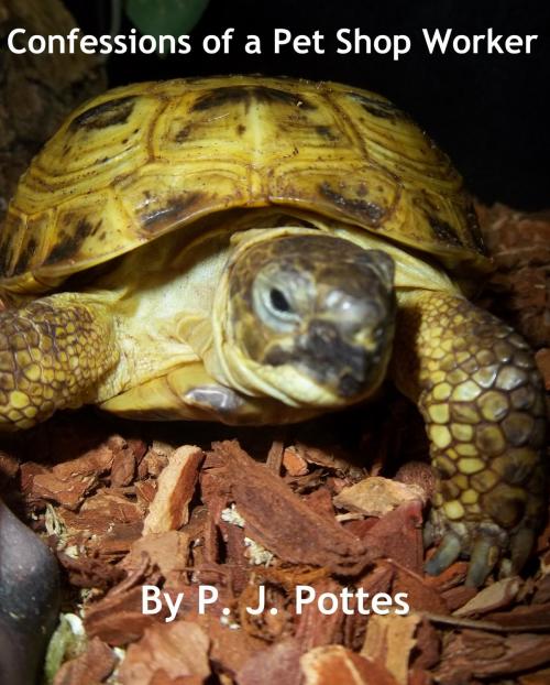 Cover of the book Confessions of a Pet Shop Worker by P. J. Pottes, P. J. Pottes